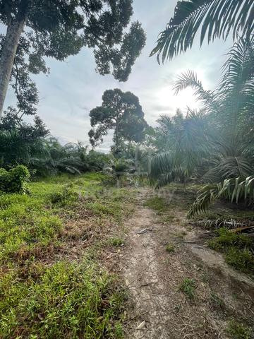 tanah untuk dijual 1