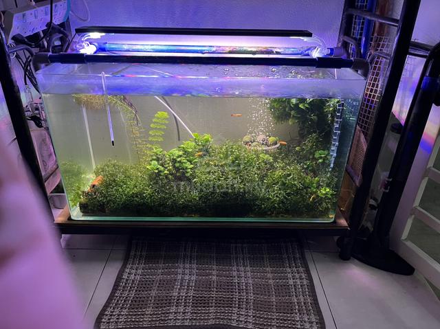 Carousel Image