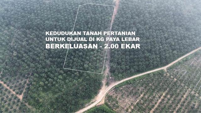 Tanah Pertanian untuk dijual di Kg.Paya Lebar Masjid Tanah Melaka 1
