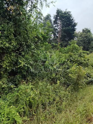 3.8 Ekar Tanah Kosong Kg Tebing Tinggi Segamat Johor 1