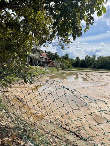Tanah Bendang Di Bandar Jitra, Kedah 1