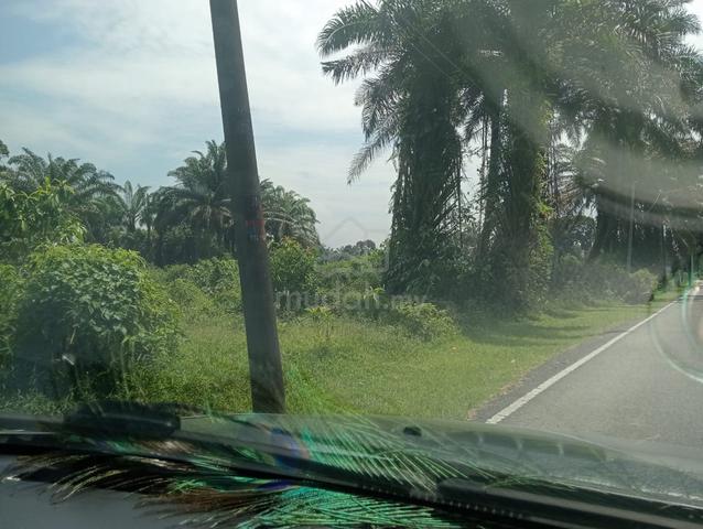 Investment Opportunity Land in Kampung Seri Paya Sale Kulai Johor 4