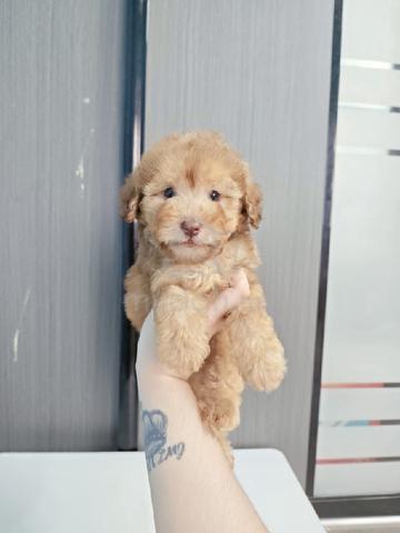 Carousel Image Selected