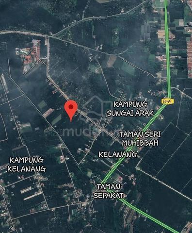 Freehold Agricultural Land palm oil Kuala langat 1