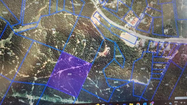 Tanah Pertanian 8 Ekar Ladang Kecil Sg Lembing Kuantan 1
