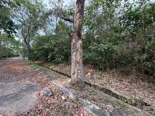 TANAH LOT KOTA MASAI UNTUK DIjUAL (LUAS 8783SQFT) 1