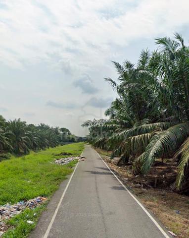 Pontian, Benut 4.15 acre Road side Land for Sale 1