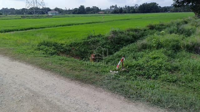 Tanah sawah jual bahagian 4,653 kps tepi jalan Kg Paya Luboh 1