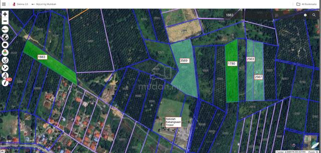 4 Lots Tanah Pertanian - Pulau Kemiri Kuala Kangsar utk dijual 1