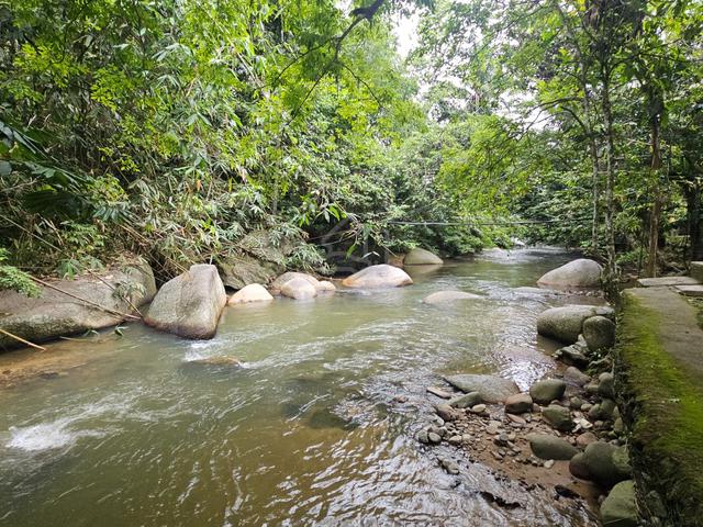 Good for Investment Riverview Resort Janda Baik, Bentong 1