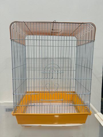 Pair of sugar gliders + cage - photo 5 of 5