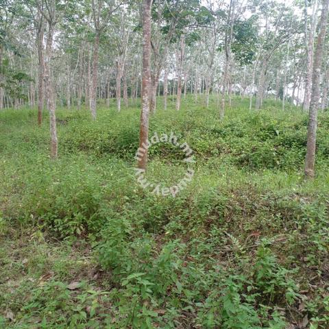 Freehold Agriculture Land For Sale At Kepis,Bahau,Kuala Pilah,N.S 4