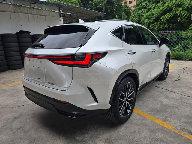 2023 Lexus NX 250 2.5 BASE Ready Stock 5A/19k km - 3