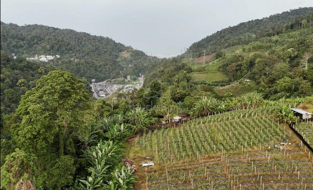Tanah atas bukit tepi sungai untuk dijual 1