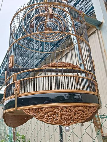 Carousel Image