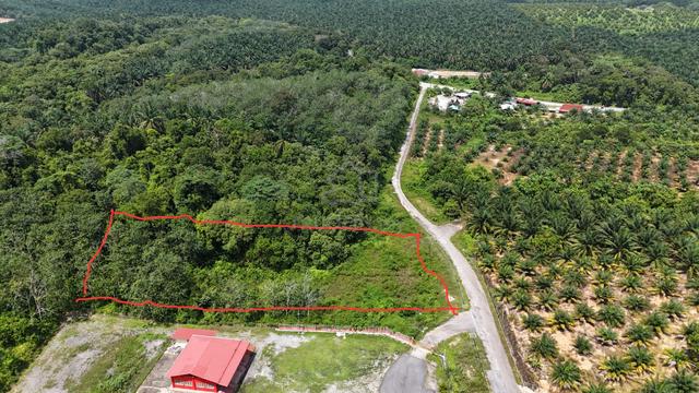 Tanah Pertanian Titian Bintangor Rembau 1