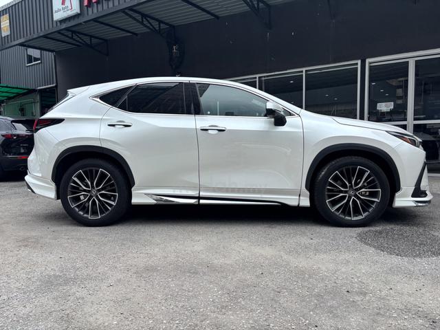 2023 Lexus NX250 2.5 VERSION L MARK LIVISON 360CAM - 3