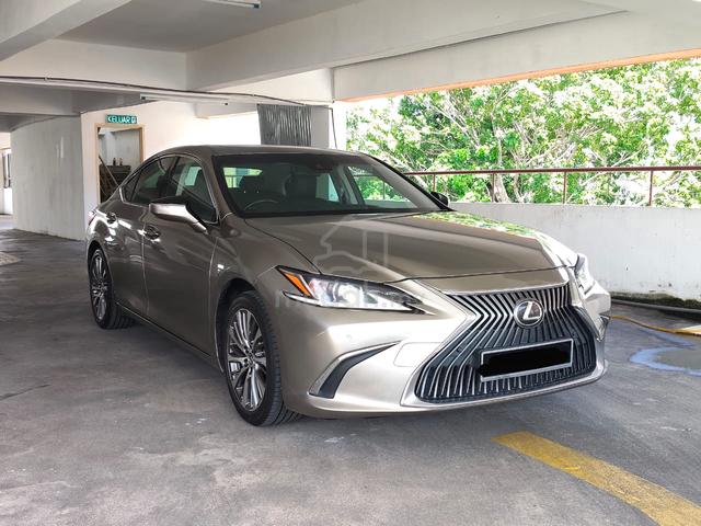 2019 Lexus ES250 LUXURY 2.5L (A) - 1