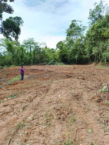 Tanah Untuk Di Jual 2