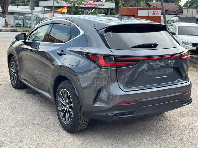 2023 Lexus NX250 2.5 VERSION L (A) 3LED,DIM,360,5A - 5
