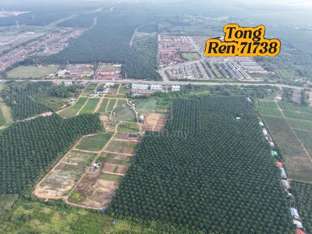 Gurun > Oil Palm Agriculture Land For Sale 1