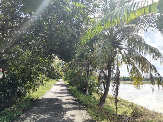 2.22 Acres Residential Land & Bungalow Lot For Sale @ Kulim , Kedah 1