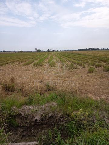 Geran Individu 1.6 Ekar Tanah Sawah 1