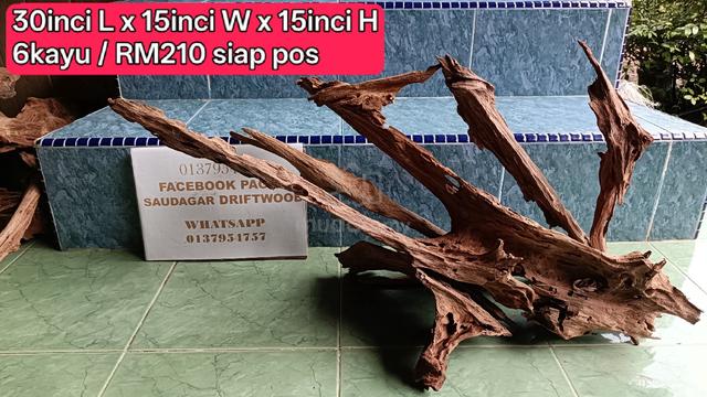 Driftwood for aquascape tank 2.5-3ft - photo 2 of 6