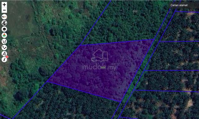 Tanah Dusun Seluas 3.12 Ekar (Rezab Melayu) di Bota Untuk Dijual 1