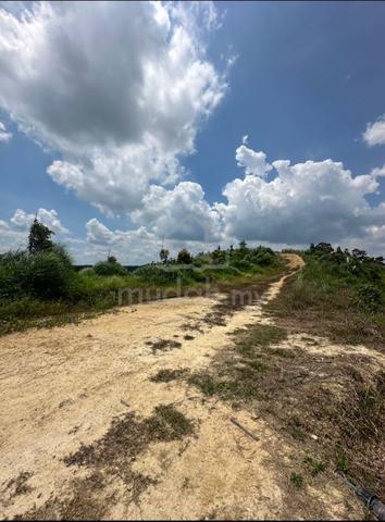 Durian Tree Land/Negeri Sembilan/ Kuala Pilah, Jempol/ 15 acres 4