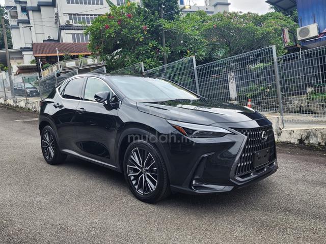 2022 Lexus NX250 2.5 LUXURY (A) - 1