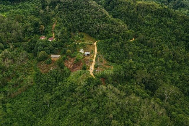 9 Acres NT Land for Sale – Tenghilan (Kampung Linsuk, Tuaran) 1