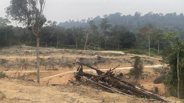 tanah berkeluasan 3 ekar lebih 1