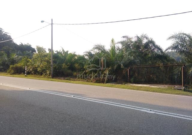 (3.1 EKAR) – TANAH JALAN BUKIT CERAKAH (PERTANIAN) – Area PUNCAK ALAM 1