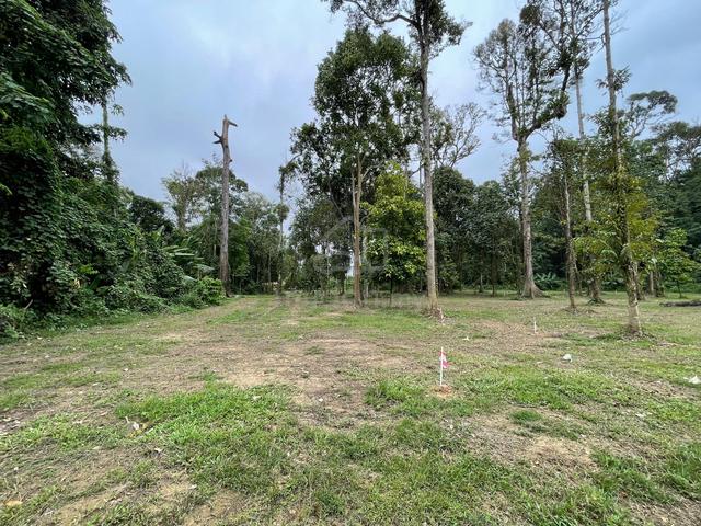 Tanah untuk Disewa 1