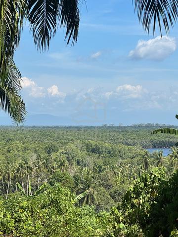 Tanah Kampung Sinapokan - Kuala Penyu 1