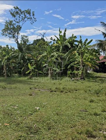 Land For Sale 1