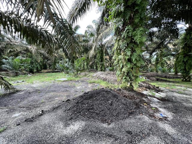 Mix Development Land For Sale 1