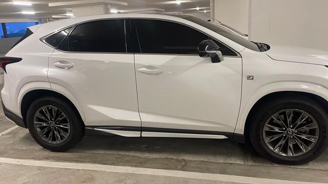 2020 Lexus NX300 2.0 F SPORT MY15 (A) - 3