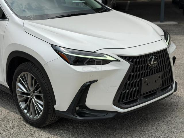 2023 Lexus NX250 LUXURY 2.5 (A) - 5