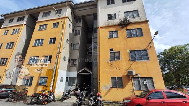 Dahlia (Seremban) 1