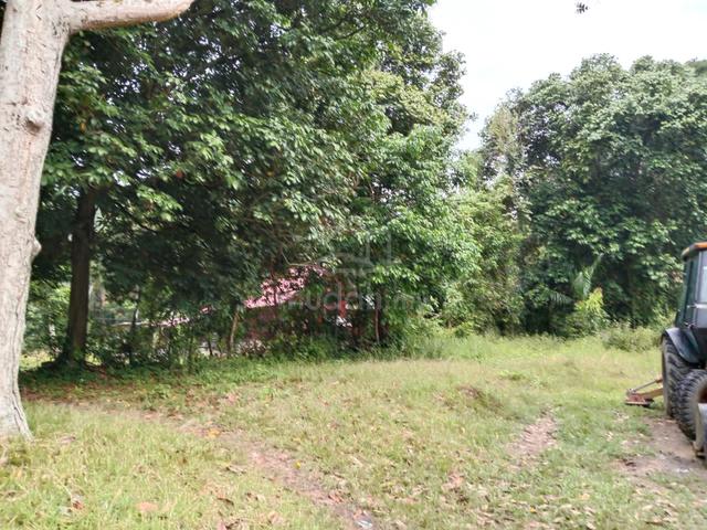 Tanah cantik 2.56 ekar sesuai buat rumah ,kebun dan aset 1
