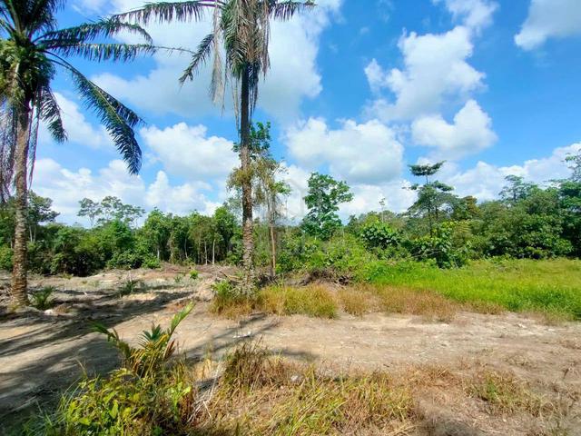 Tanah pertanian Tanjung kupang 1