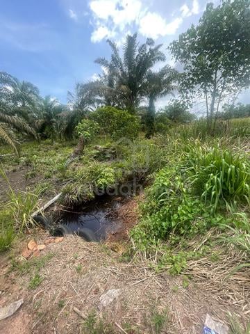 Tanah Pertanian Kelapa Sawit Parit Puteri Menangis Pontian Good Invest 4