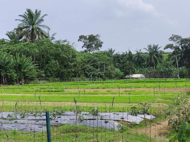 Land For Rent- Semenyih 1