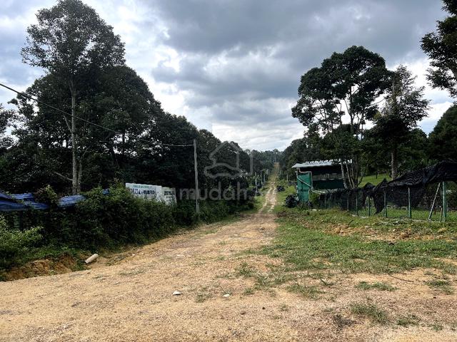 Multiple Agriculture Purpose Land (1 Acre) with Reserve Road for Sale 1