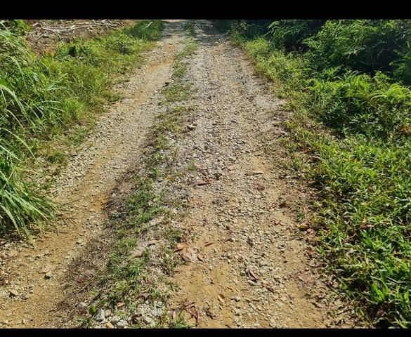 FLAT/FH NON BUMI😊 2.07 ac behind LATEX KPG PAK DOLAH near KMTG TOLL 1