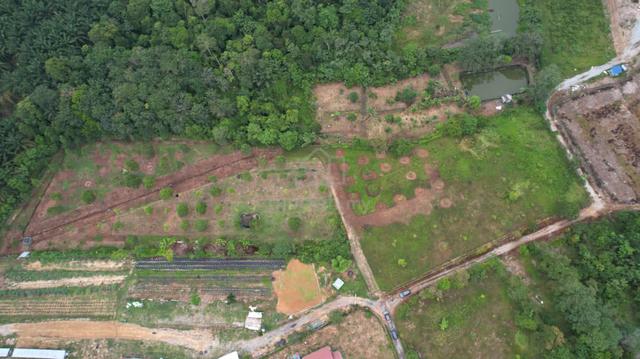 Tanah 2 Ekar Kebun Durian Di Labu, Seremban Untuk Dijual ! 1