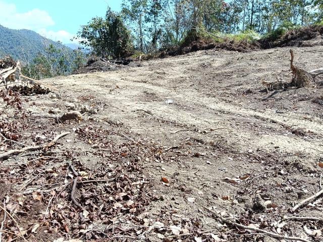 Tanah Kebun area Selama 1