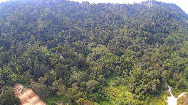 Tanah Batu 14 Sungai Tekali Hulu Langat 1